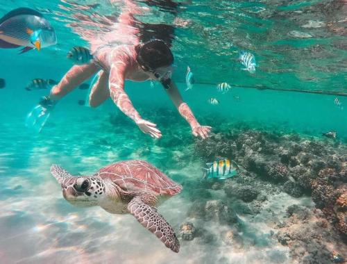 Abu Dabbab marsa alam hurghada