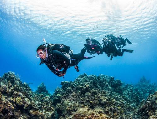 Daily Diving in hurghada