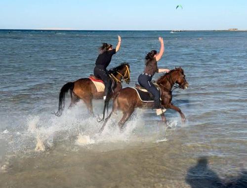 Sahara & Horse Riding hurghada