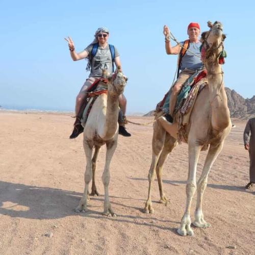 Quad Safari 3 hours hurghada