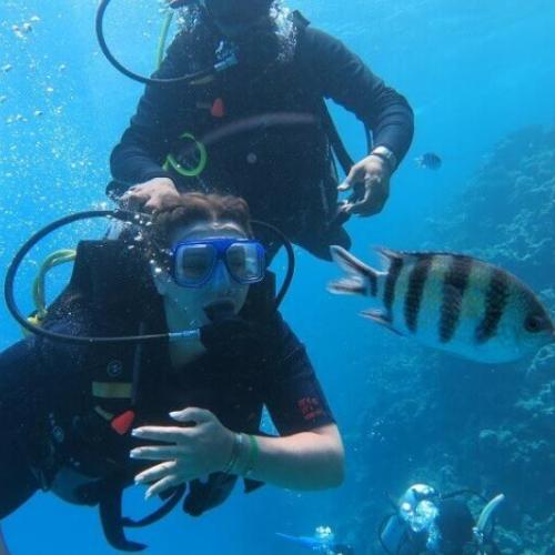 Intro Diving in hurghada