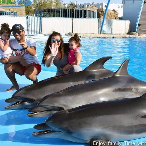 Shooting with Dolphins in Hurghada