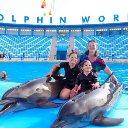 Shooting with Dolphins in Hurghada