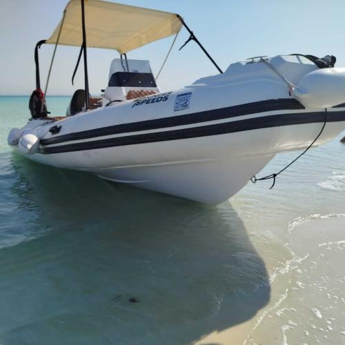 Private Speed Boat hurghada
