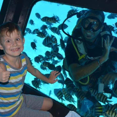 Catamaran - Semi-Submarine